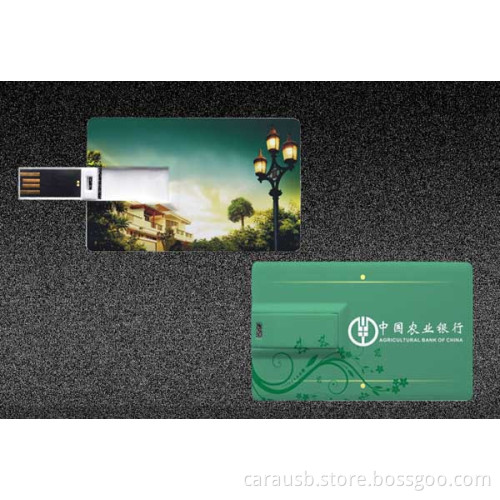 Ernesto Guevara CaraUSB flash drive 4gb card-type flash disk creative gifts cartoon characters business cards custom logo